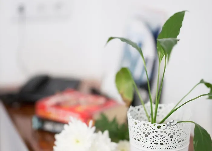 Alcides Отель 2*