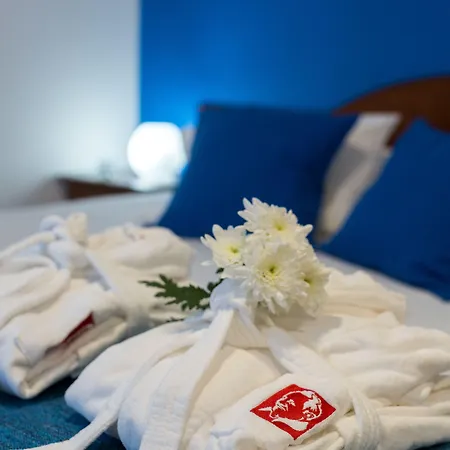 Alcides Otel 2*